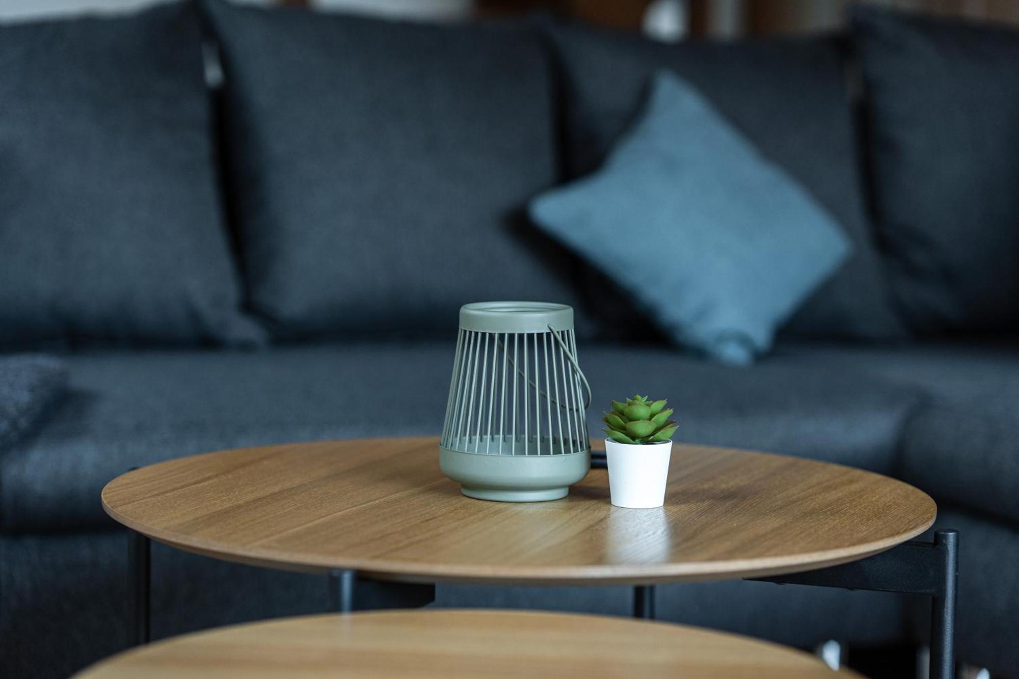 Jungfrau-view Apartment, Terrace & Free Parking *