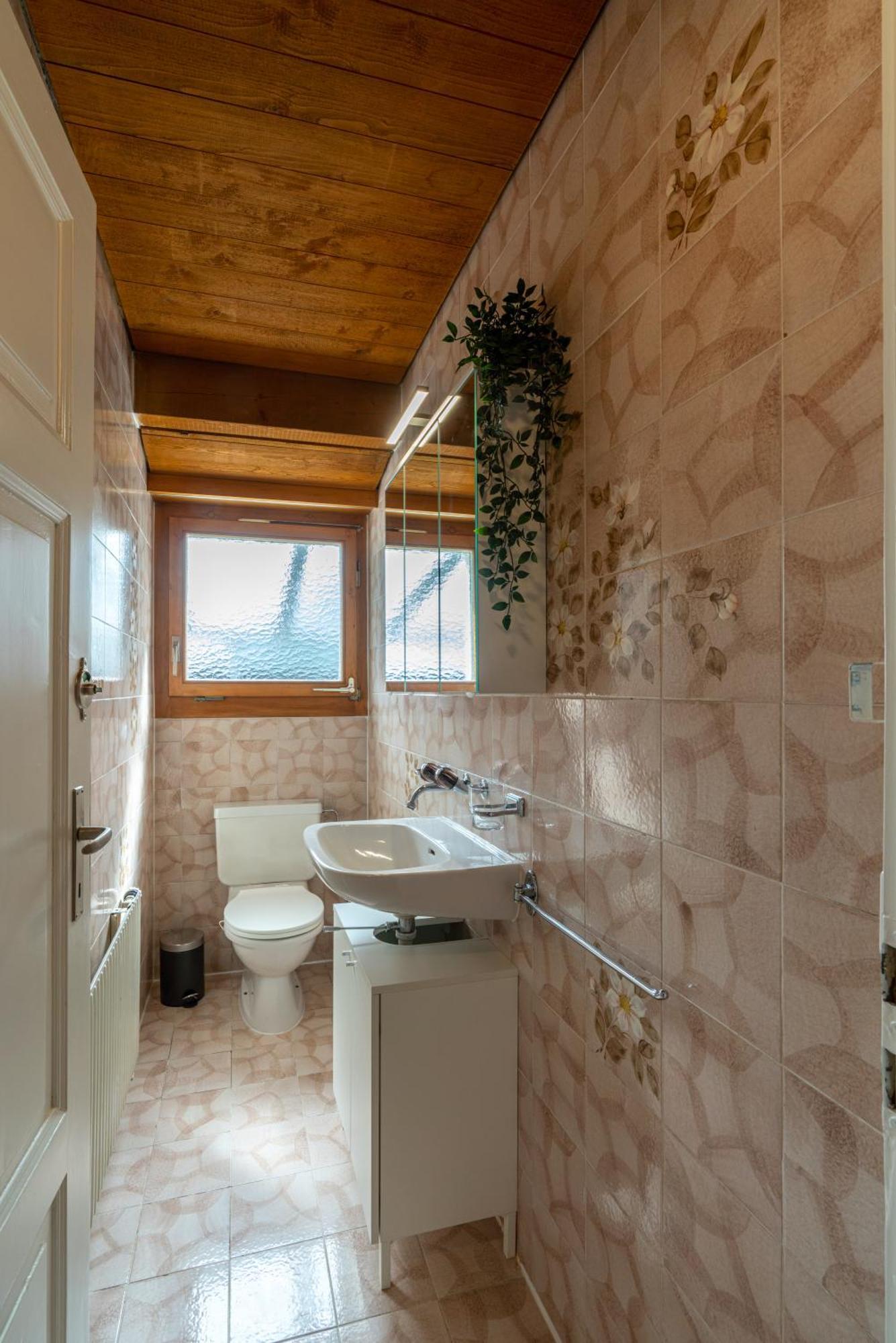 Apartment Jungfrau-view Apartment, Terrace & Free Parking Wilderswil