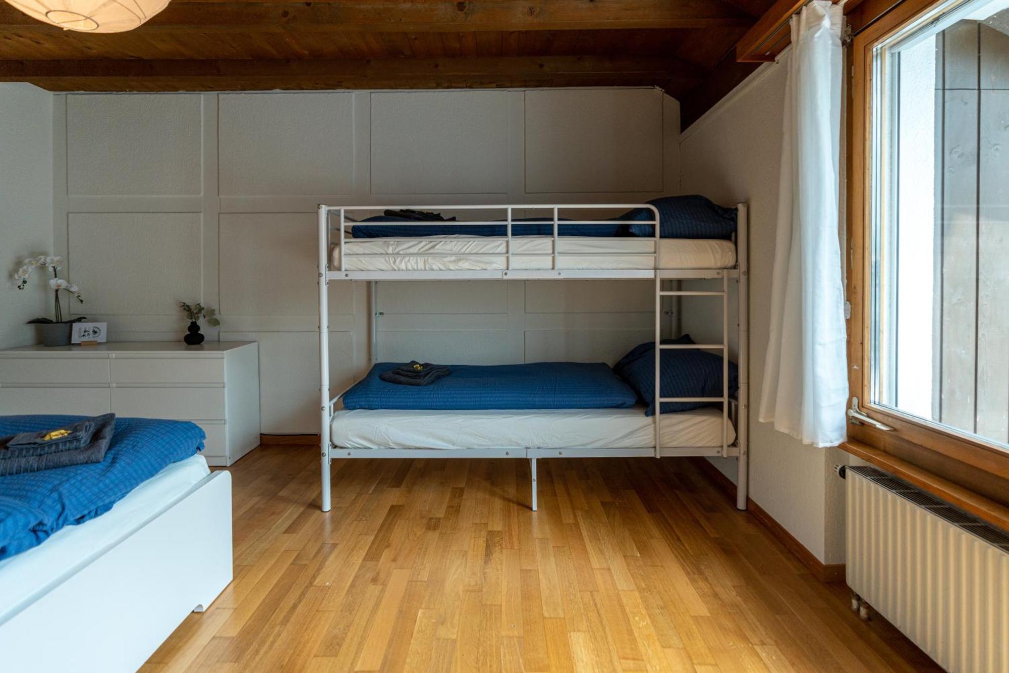 Apartment Jungfrau-view Apartment, Terrace & Free Parking
